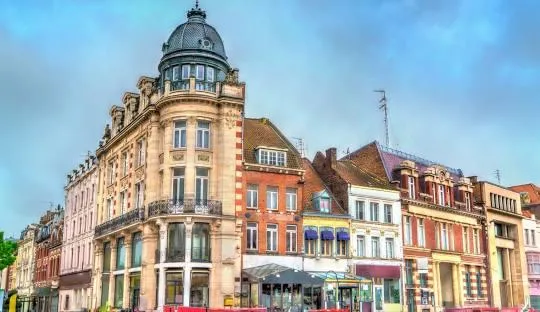 Nocivis services - Dératiseur, nids de guêpes et frelons - Tourcoing