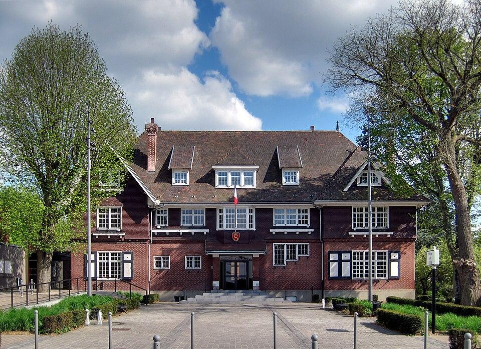 Nocivis services - Dératiseur, nids de guêpes et frelons - Seclin