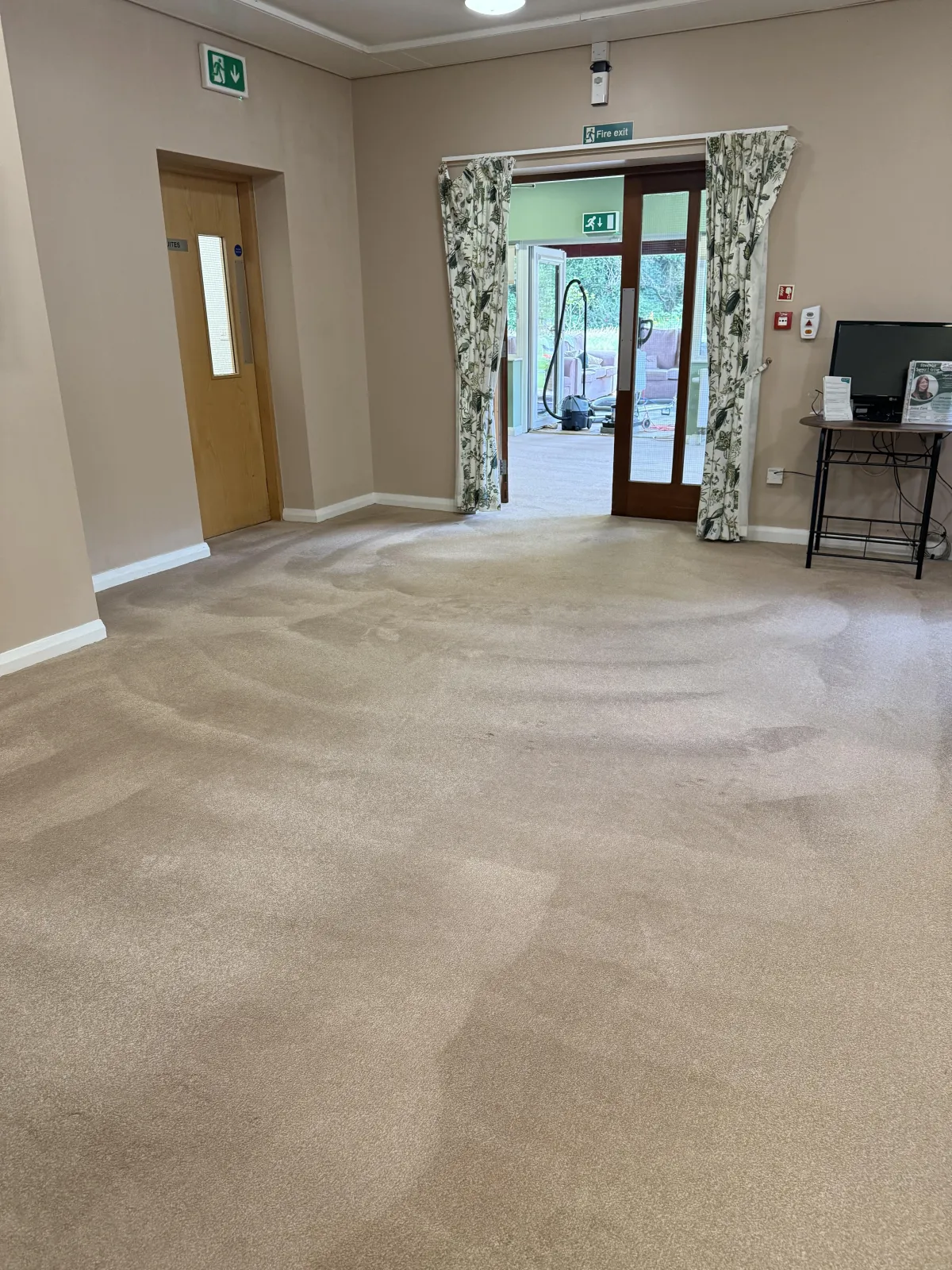 Carpet after Paul has cleaned it with the 8 step process