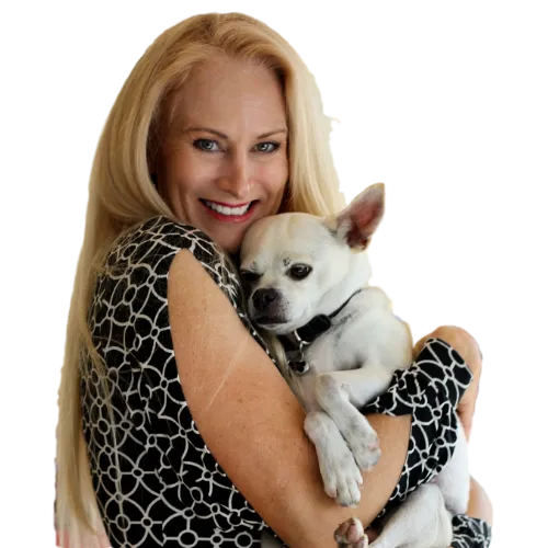 Pack In Balance Dog Training