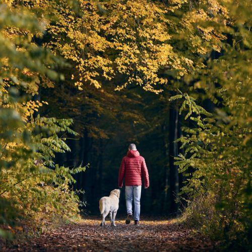 path with a man and dog on it