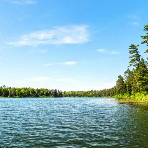 image of lake arlington