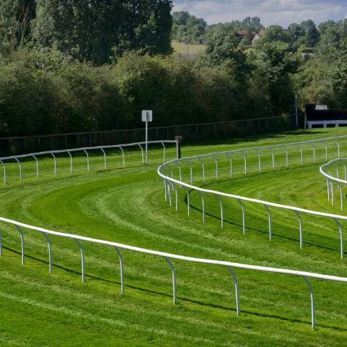 image of Arlington park racecourse of horses