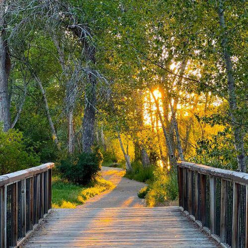 image of a walk in Des Plaines River Trail