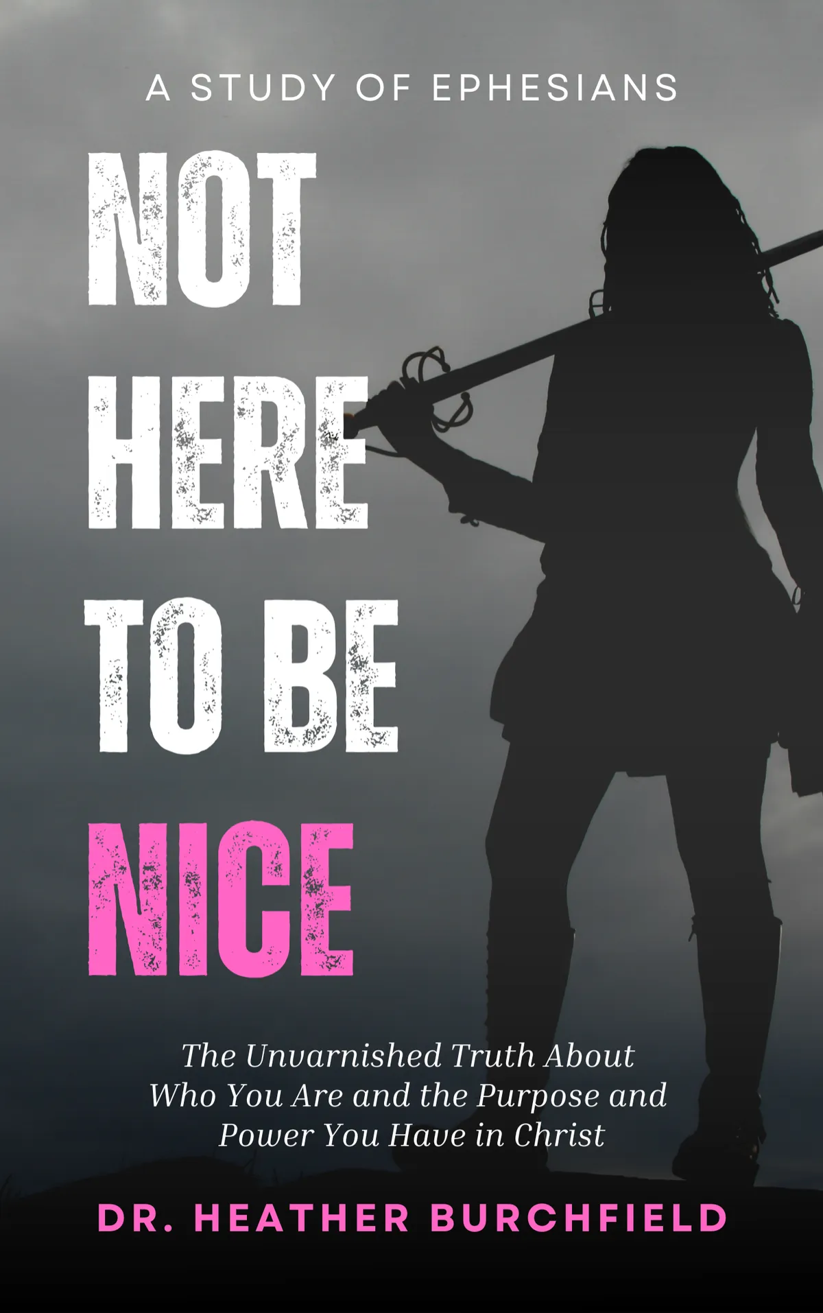 Not Here to Be Nice book cover by Dr. Heather Burchfield