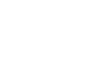 New Horizon Digital