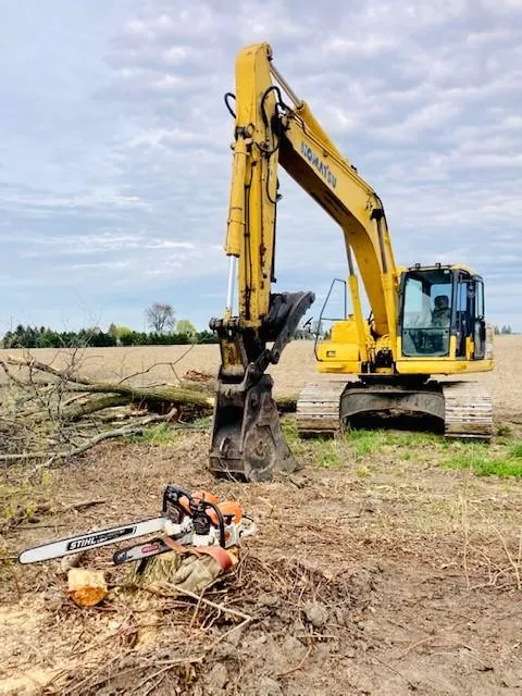 michigan brush clearing services