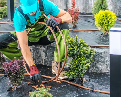 Cranberry Irrigation Services