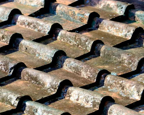 Cranberry Soft Washing