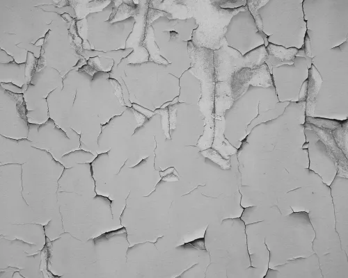 Cranberry Exterior Painting