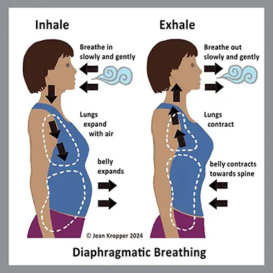 An instructional diagram titled 'Diaphragmatic Breathing' illustrating the process of deep breathing. The image shows two side-profile illustrations of a woman, one labeled 'Inhale' with expanded lungs and belly, and the other labeled 'Exhale' with contracted lungs and spine, demonstrating proper breath control for relaxation.