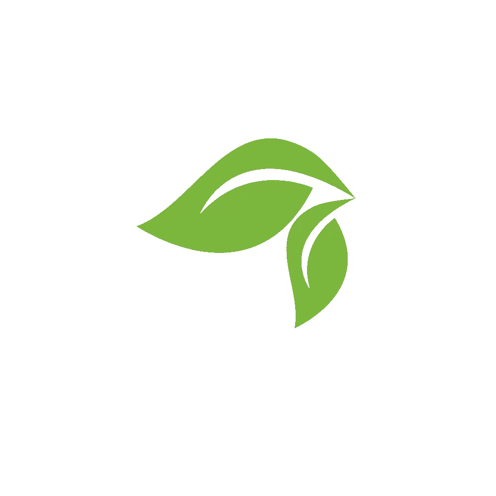 Newleaf Mobile Massage Spa inRoodepoort