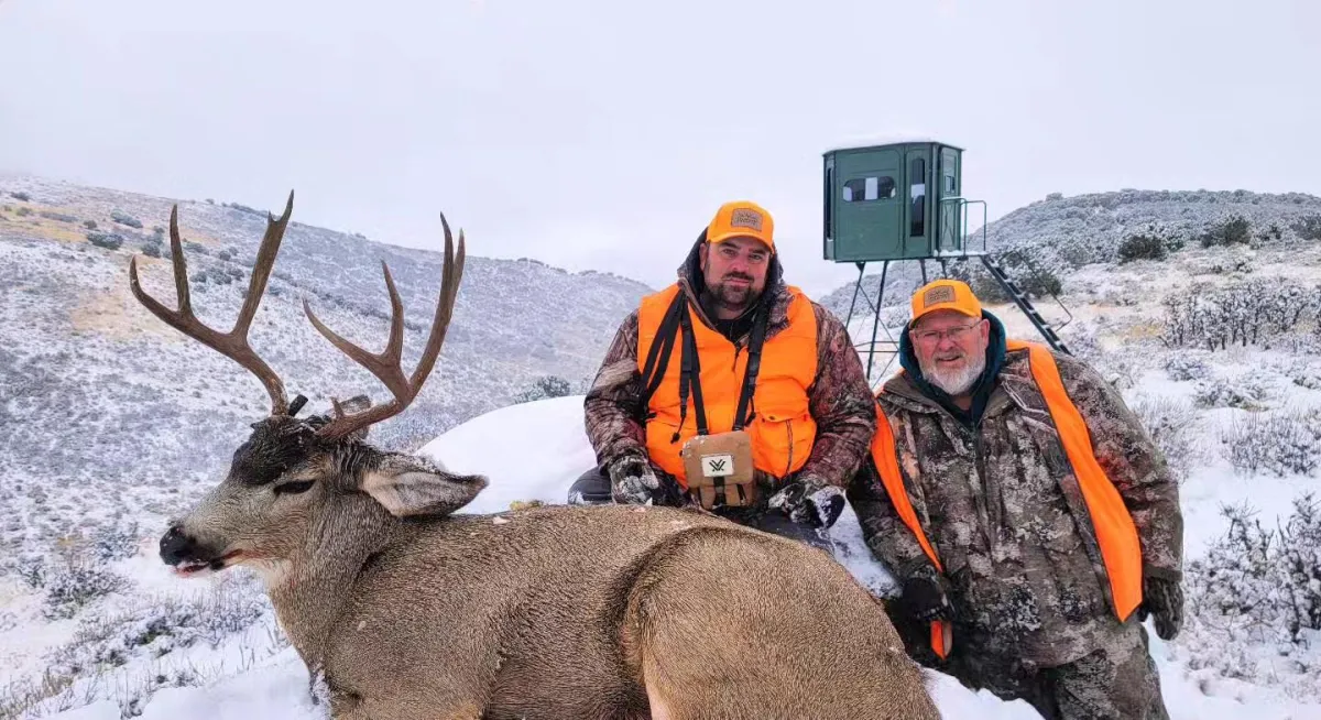 green snake on body of water