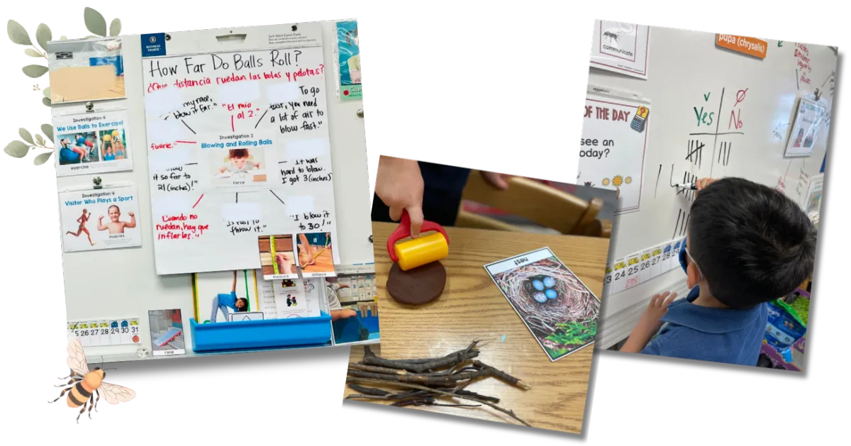 VIP Visual Vault resources in action in real classrooms