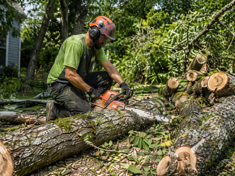 incandescent bulb on black surface