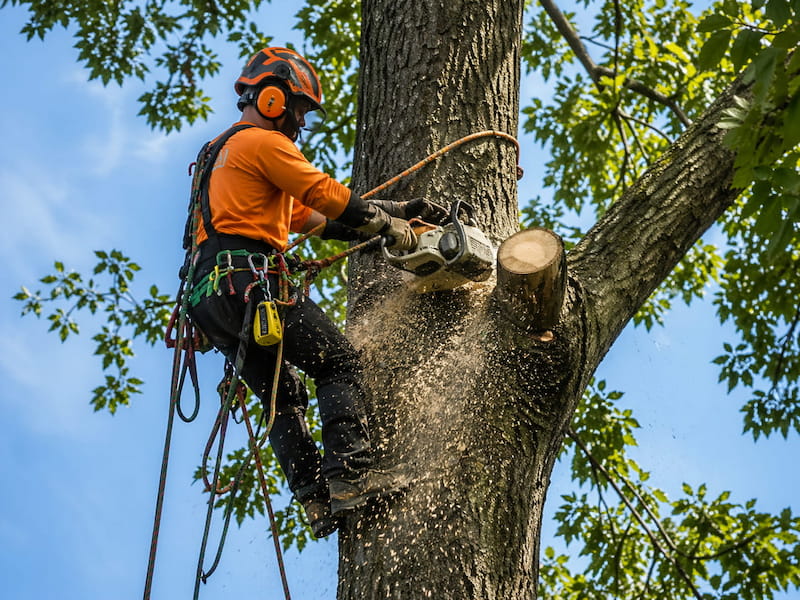 white paper on yellow background