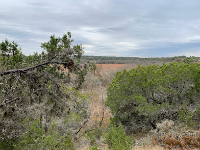 Mobile Dent Repair Services in Bulverde