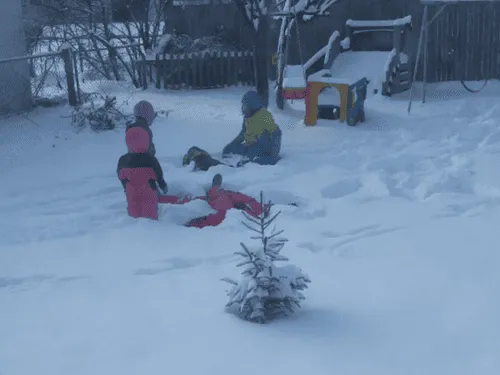 Early Childhood Education Ann Arbor