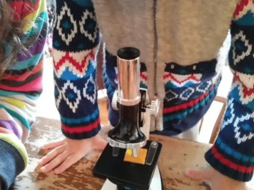 Full-Time Childcare Ann Arbor