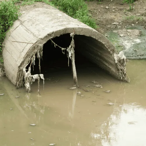 Residential Cleaning