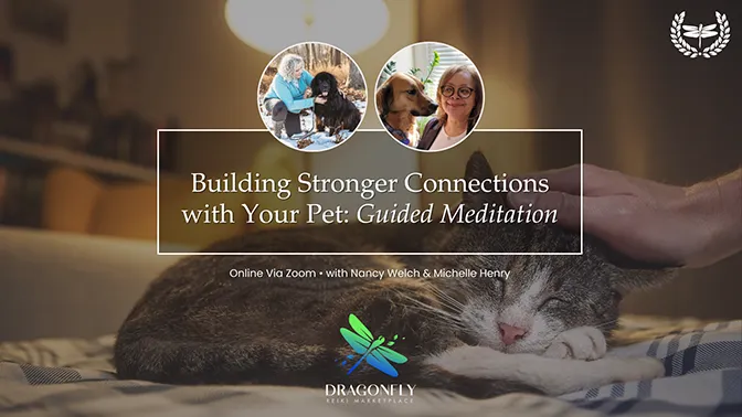 Building Stronger Connections with Your Pet: Guided Meditation