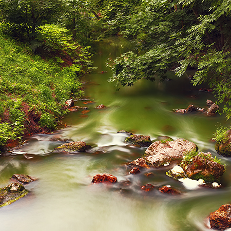 Free Community Reiki Experience: Relax, Align, and Recharge Online
