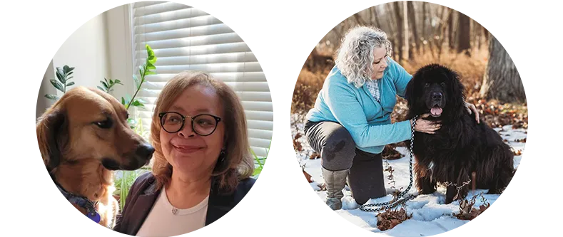 Usui & Holy Fire® Reiki Level 1 & 2