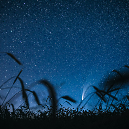 The Art of Non-Doing: Reiki for Deep Rest & Stress Relief