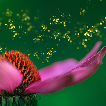 Money Reiki: The Energy of abundance and prosperity