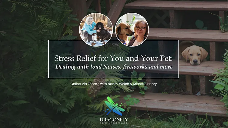 Stress Relief for You and Your Pet: Dealing with loud Noises, fireworks and more