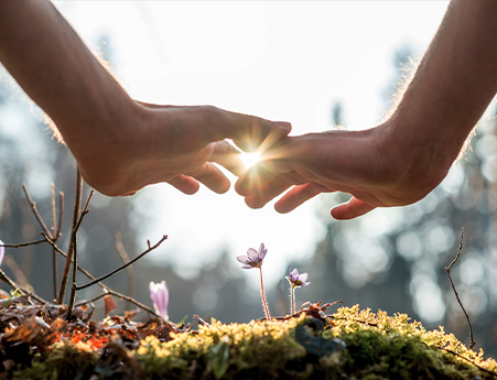 Hand Covering Flowers at the Garden with Sunlight