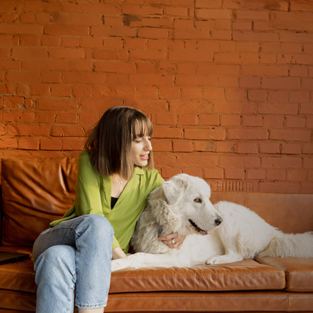 ICRT Animal Reiki I & II Training