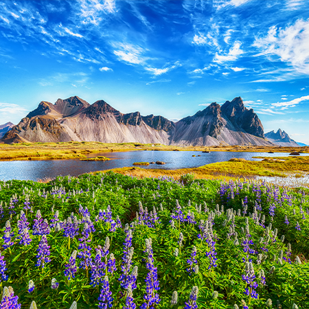 The Places We Love