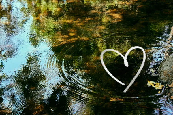 The Energy We Hold for One Another