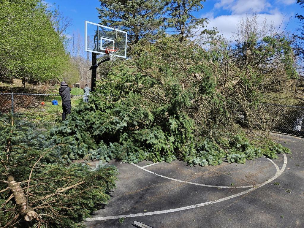 Concrete Contractor in Ventura County