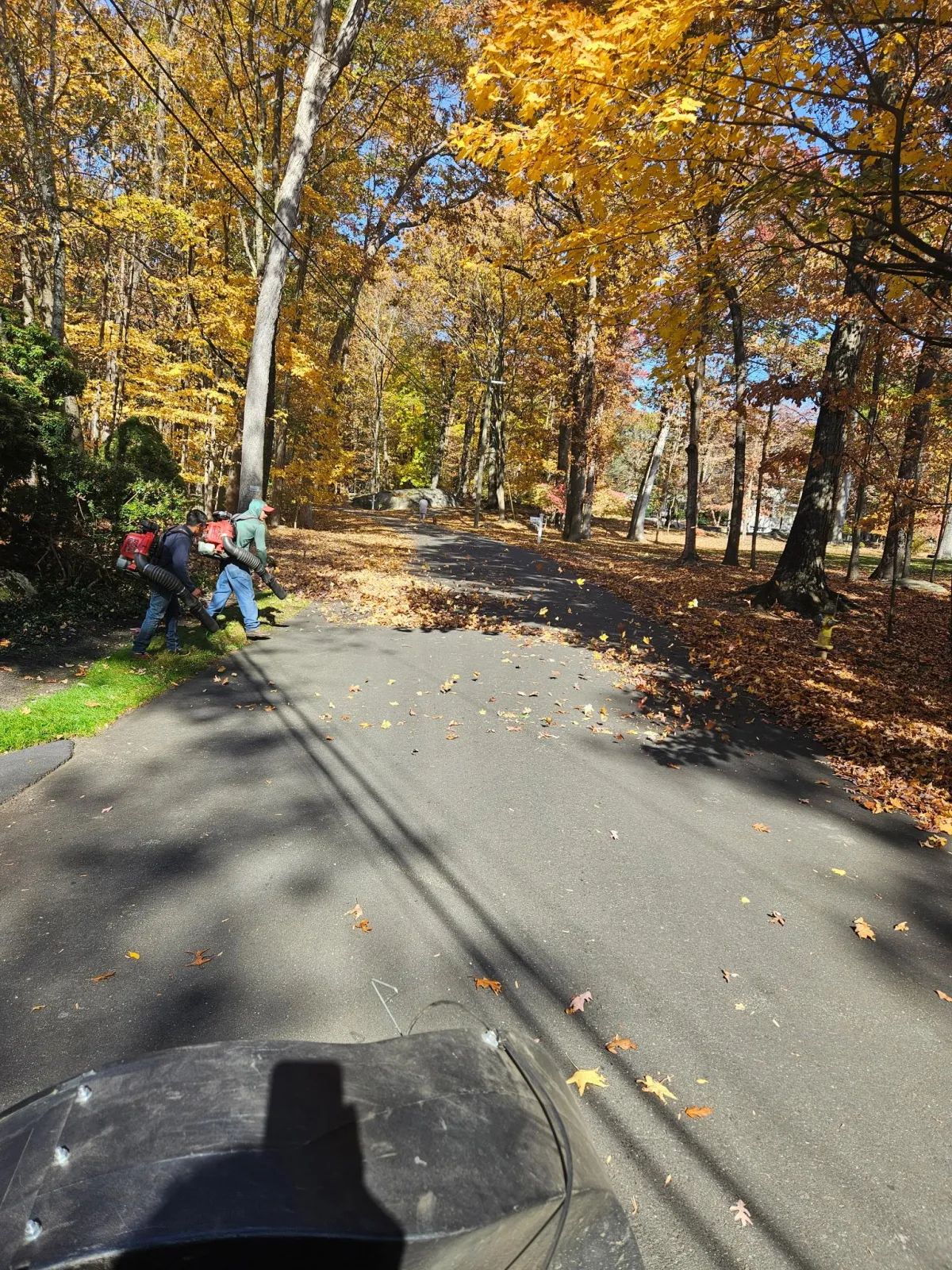 Concrete Contractor in Ventura County