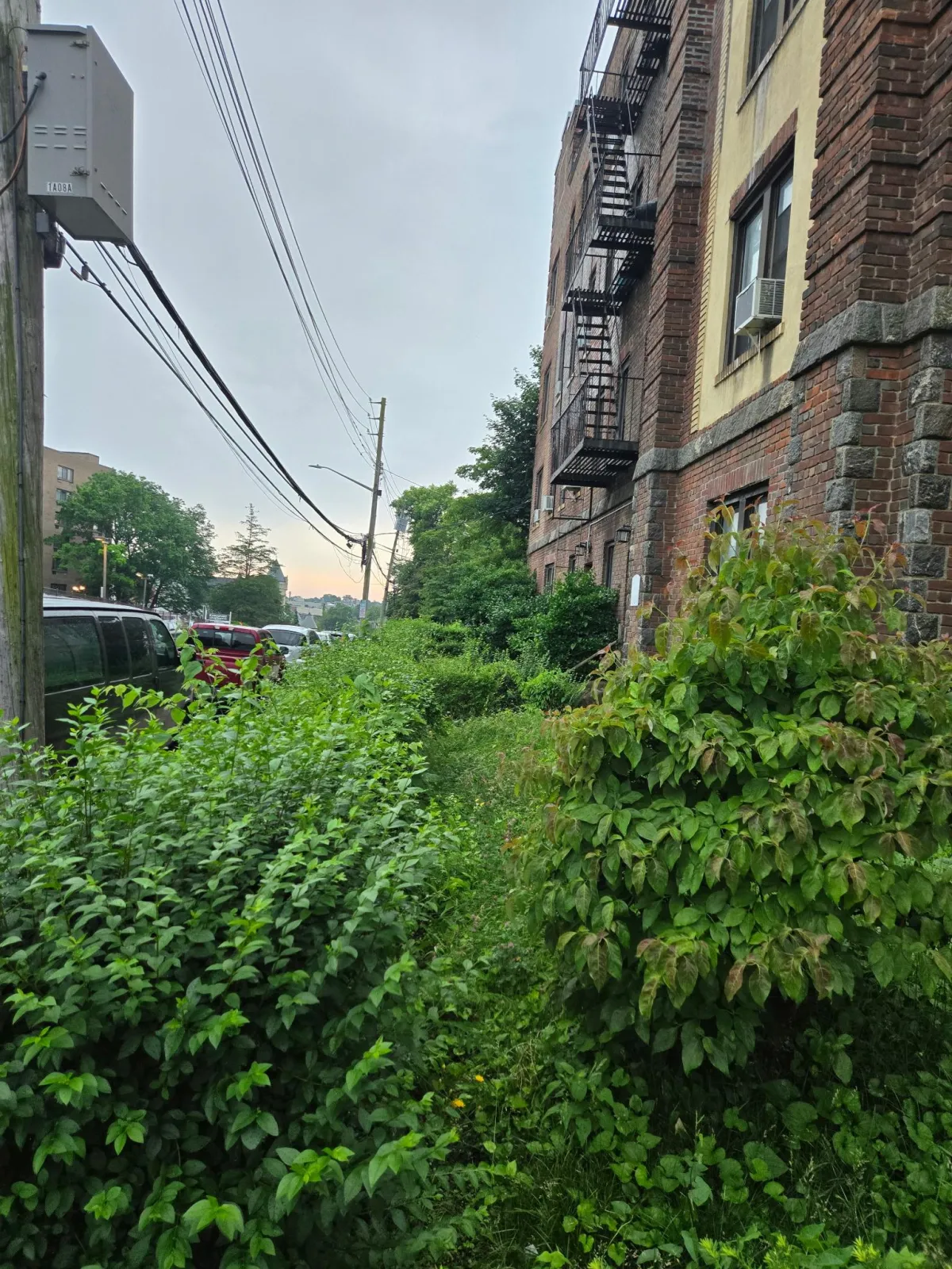 Concrete Contractor in Ventura County