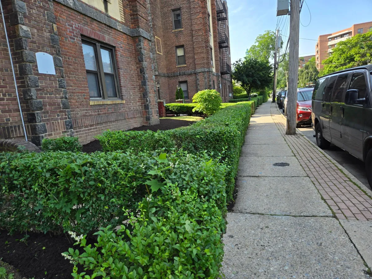 Concrete Contractor in Ventura County