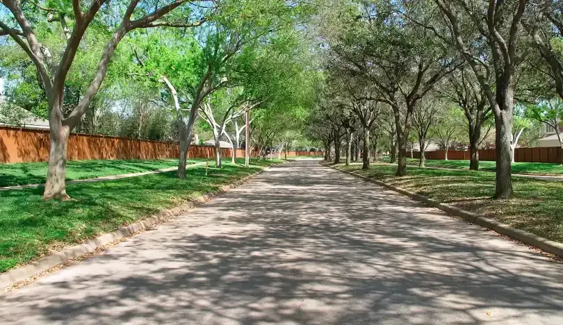 Hydro Excavation Vacuum in Houston