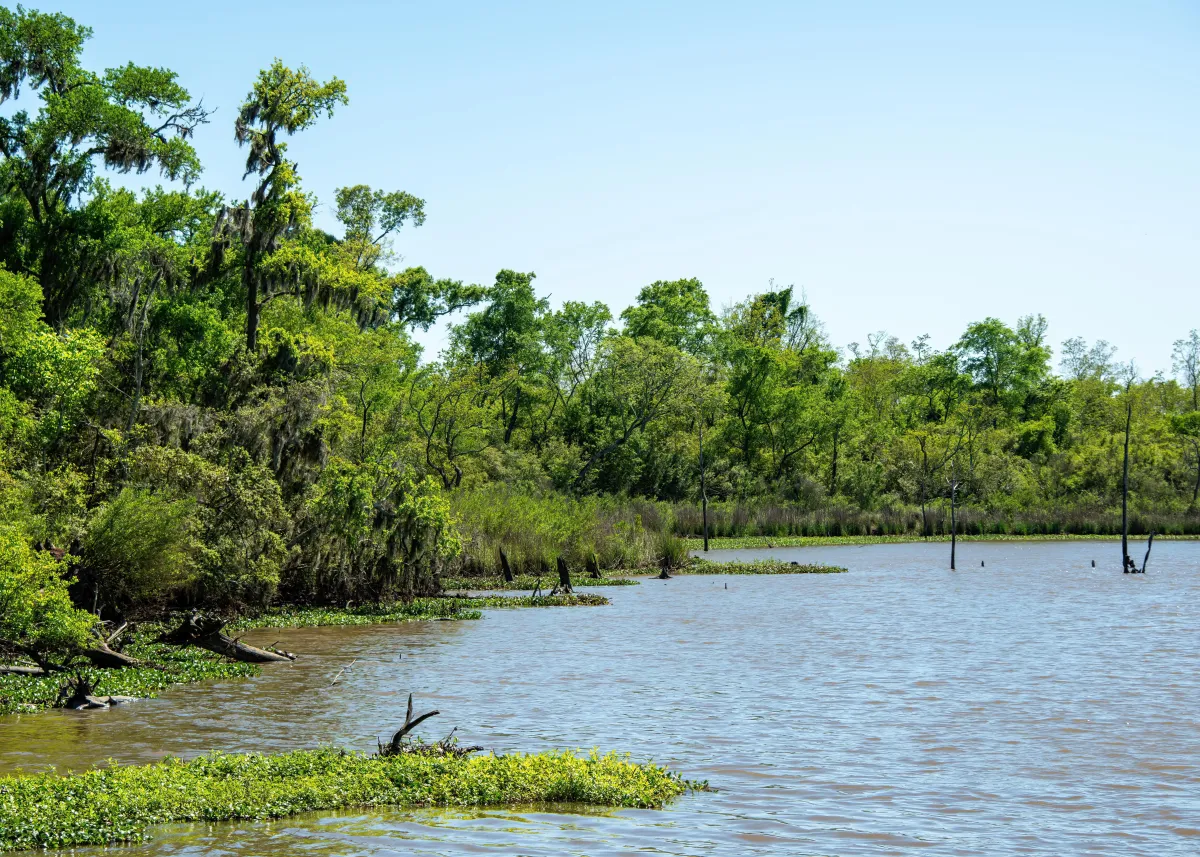 Industrial Support Services in Houston