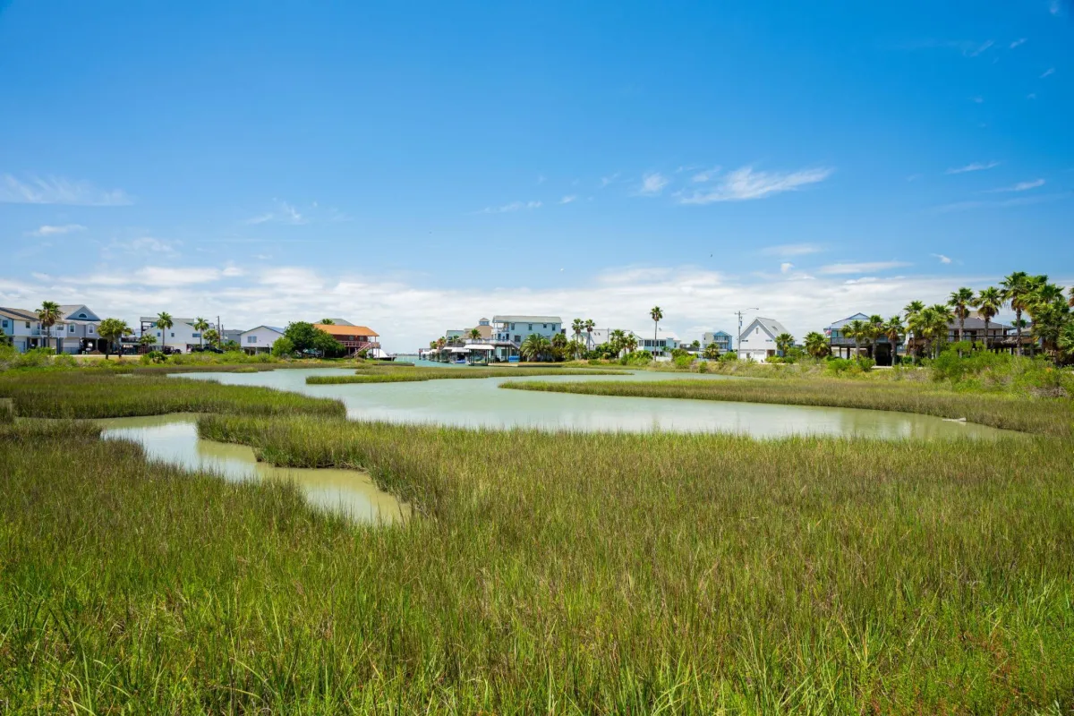 Environmental Advisory in Houston