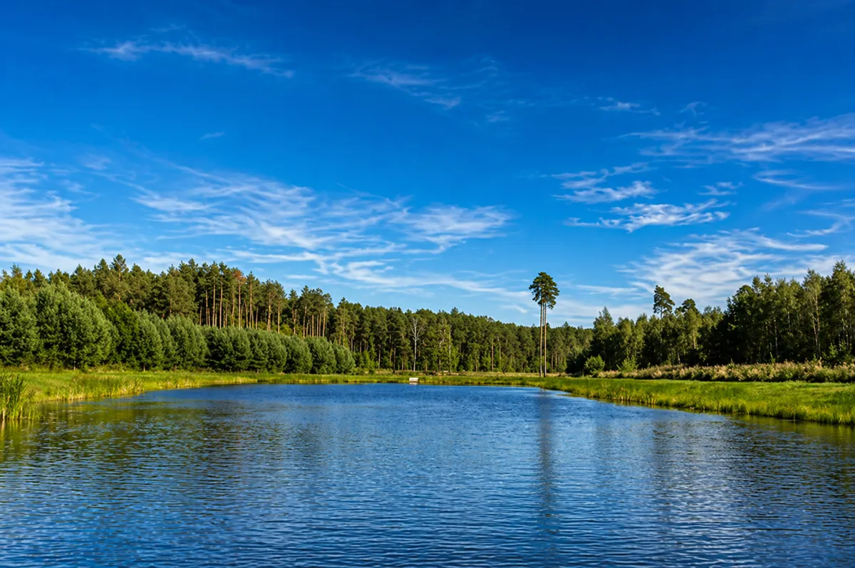 Basin & Retention in Houston