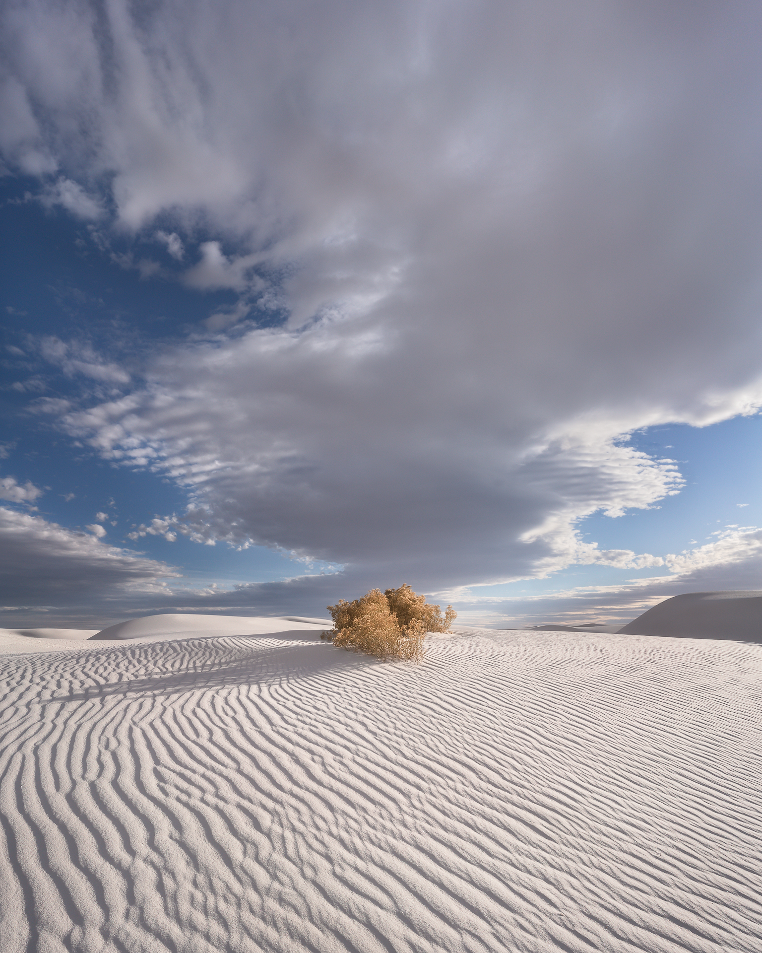 Desert Essence Print