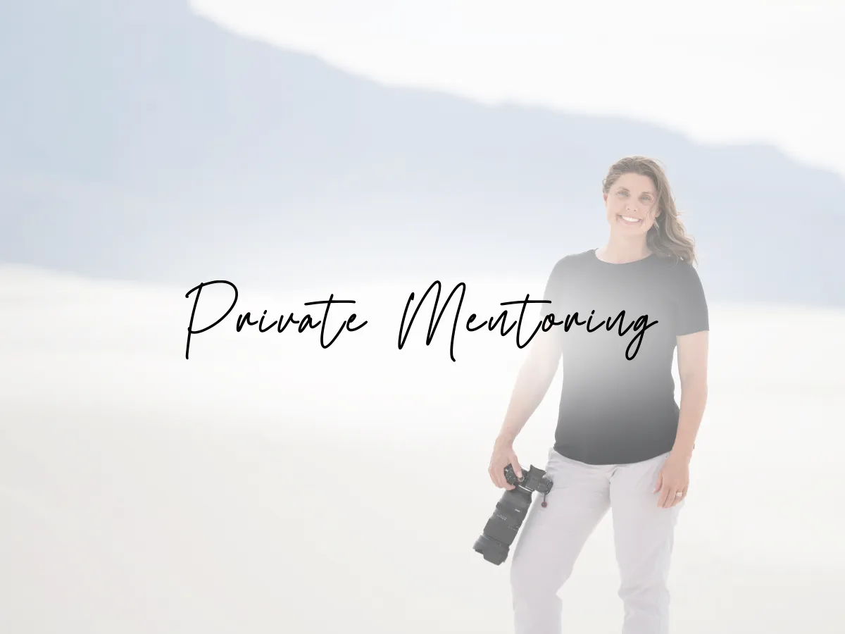 Private Mentoring