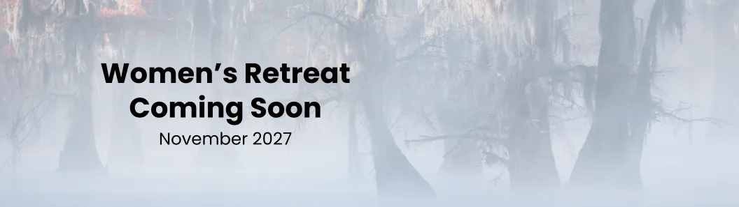Cypress tree in fog