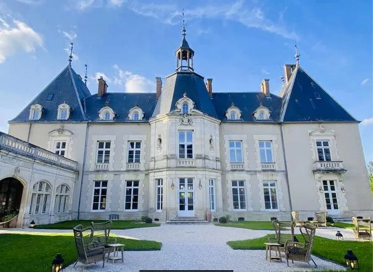 green and brown tree during sunset