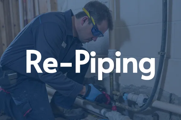 tampa plumbers near me whole-home re-piping
