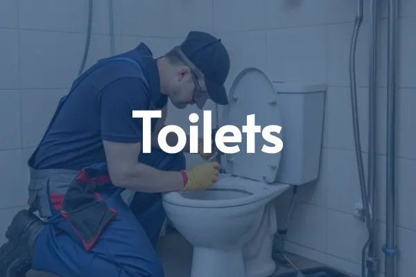 tampa plumbers near me toiler repair new installation