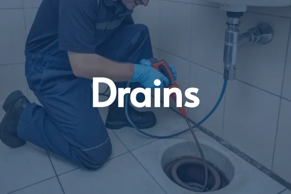 tampa plumbers near me drain cleaning