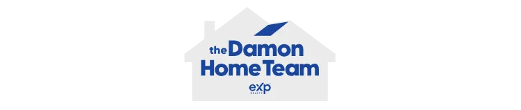 The Damon Home Team